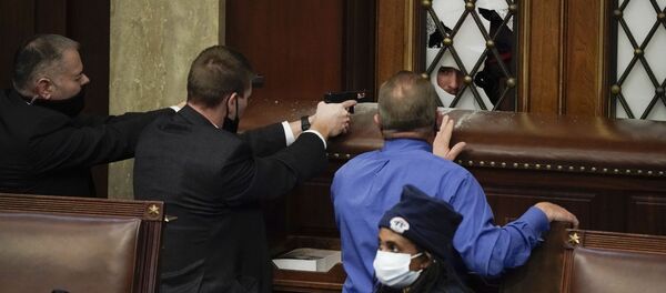 Беспорядки в Вашингтоне - 俄罗斯卫星通讯社