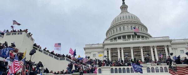 Участники акции протеста сторонников действующего президента США Дональда Трампа у здания конгресса в Вашингтоне  - 俄羅斯衛星通訊社