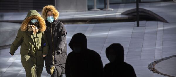 北京寒潮 創1966年以來最低氣溫 - 俄羅斯衛星通訊社