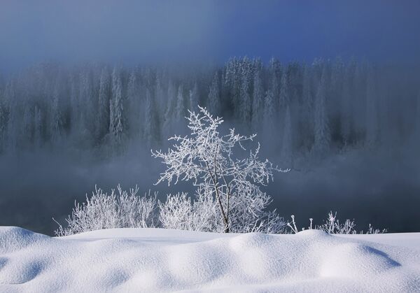 亚伊瓦河上的冬天。 - 俄罗斯卫星通讯社