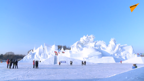 哈尔滨冰雪大世界 - 俄罗斯卫星通讯社