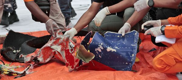 Потерпевший крушение индонезийский самолет - 俄羅斯衛星通訊社