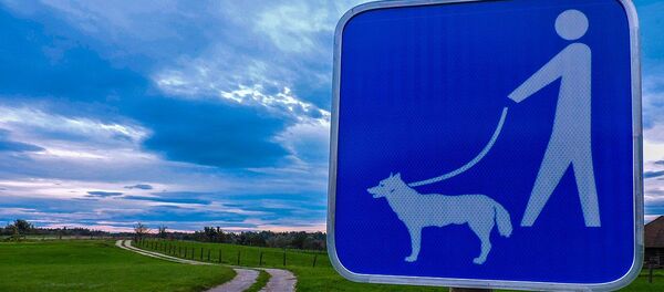 Знак выгула собак - 俄罗斯卫星通讯社