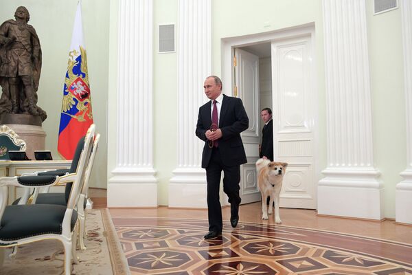 世界各国元首的第一萌宠——是宠物或是“助手” - 俄罗斯卫星通讯社