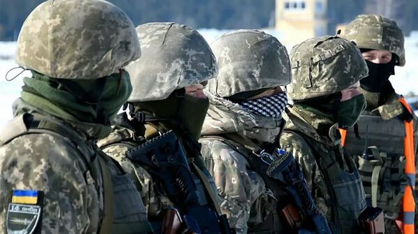 烏克蘭軍隊 - 俄羅斯衛星通訊社