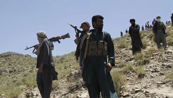 消息人士：塔利班袭击阿富汗军队岗哨 9名军人死亡 - 俄罗斯卫星通讯社