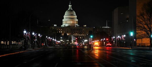 一名美国国会议员试图带枪进入国会大楼 - 俄罗斯卫星通讯社