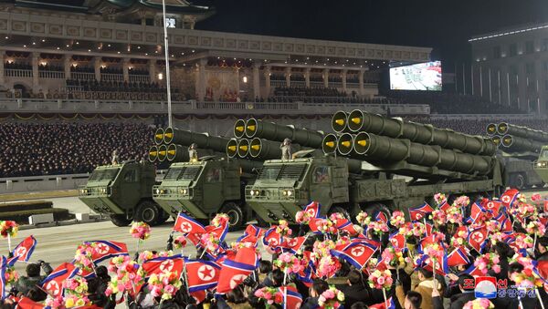 朝鲜在阅兵式上展示潜射弹道导弹 - 俄罗斯卫星通讯社