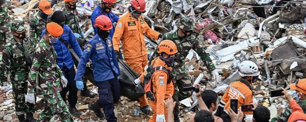 Индонезия - 俄羅斯衛星通訊社