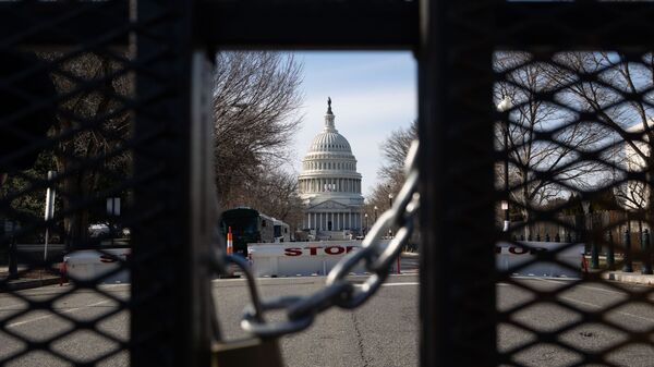 媒体：美青年共和党成员赞扬纳粹主义的聊天记录泄露 - 俄罗斯卫星通讯社