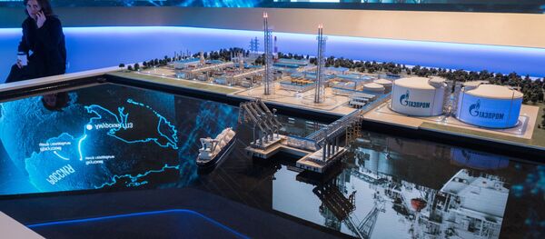 Макет Амурского газоперерабатывающего завода - 俄罗斯卫星通讯社