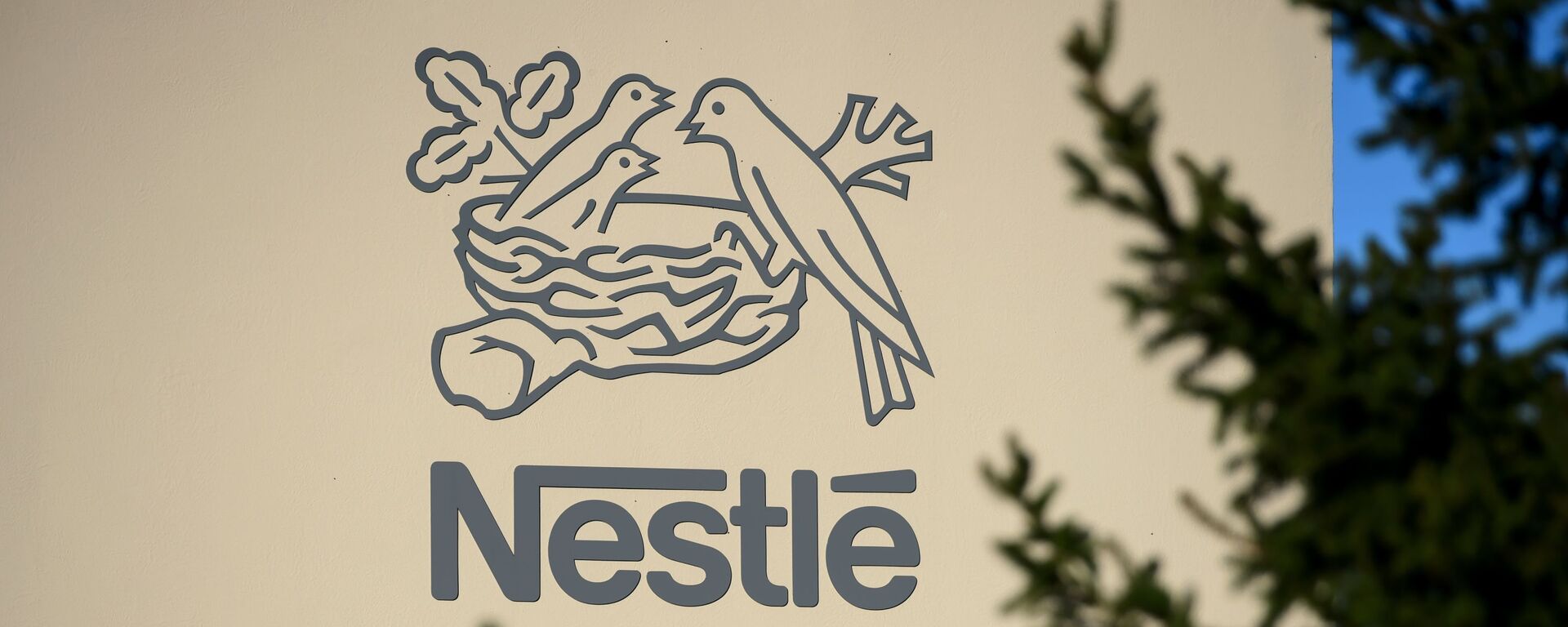 Логотип швейцарской транснациональной корпорации и крупнейшего в мире производителя продуктов питания компании Nestle - 俄羅斯衛星通訊社, 1920, 19.06.2021