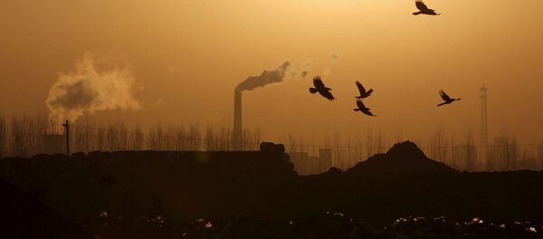 Металлургический завод в Китае Металлургический завод в Китае - 俄罗斯卫星通讯社