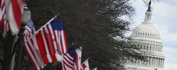 Национальные флаги США и флаги округа Колумбия возле Капитолия США в Вашингтоне - 俄羅斯衛星通訊社