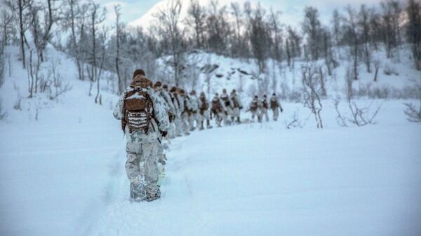 Американские морские пехотинцы во время учений в Норвегии - 俄羅斯衛星通訊社