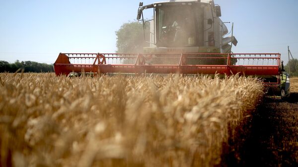 俄羅斯退出糧食協議後首次售出小麥，價格比之前更高 - 俄羅斯衛星通訊社