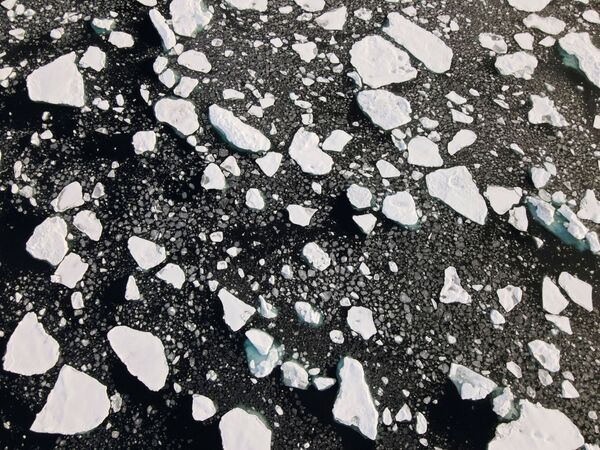 肉眼直击阿拉斯加冰川消融
 - 俄罗斯卫星通讯社
