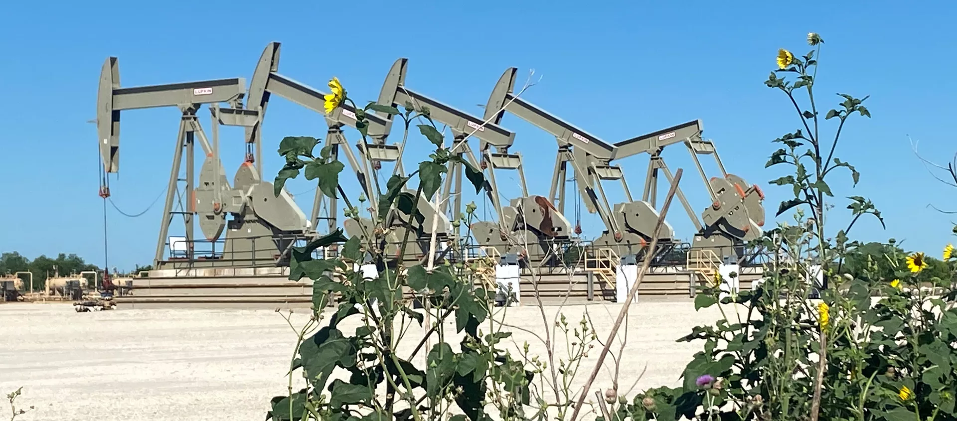 Добыча сланцевой нефти в Техасе. - 俄羅斯衛星通訊社, 1920, 08.03.2021