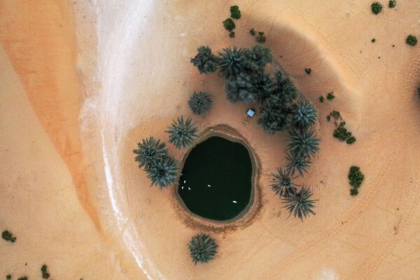 阿聯酋阿里艾因沙漠特拉度假村。 - 俄羅斯衛星通訊社