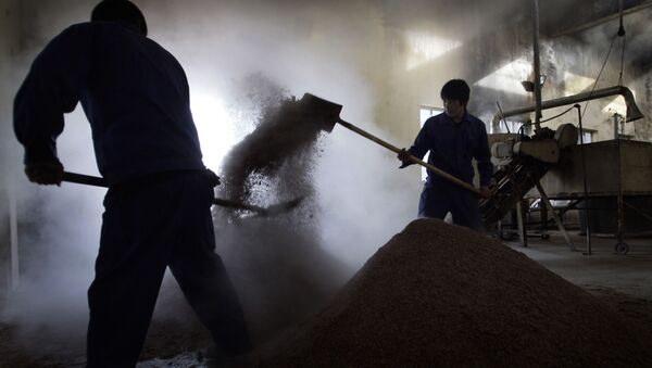 Зерно на заводе в Китае - 俄羅斯衛星通訊社