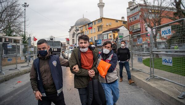 Протест в Босфорском университете в Стамбуле - 俄罗斯卫星通讯社