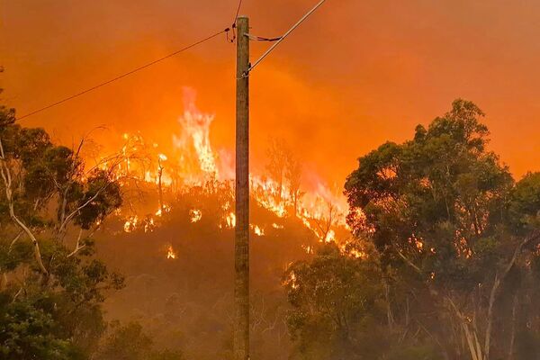 澳大利亞珀斯市附近山上的野火。 - 俄羅斯衛星通訊社