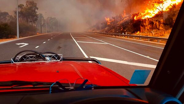 Лесной пожар у дороги в Вуролоу, недалеко от Перта, Австралия  - 俄羅斯衛星通訊社