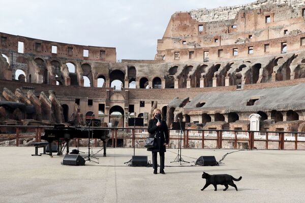 一只猫从罗马斗兽场音乐会的主持人面前走过，罗马斗兽场在罗马解除限制后重新开放。 - 俄罗斯卫星通讯社