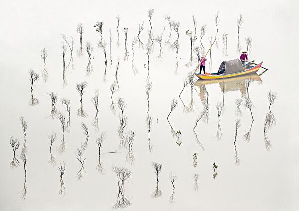 澳大利亚影师Les Sharp选送的《Fishermen of The Mangroves》作品摘得2020年东京摄影大赛美术类专业组桂冠 - 俄罗斯卫星通讯社