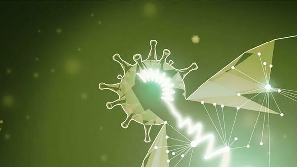 Взаимодействие вируса SARS-CoV-2 с клетками-хозяевами - 俄羅斯衛星通訊社