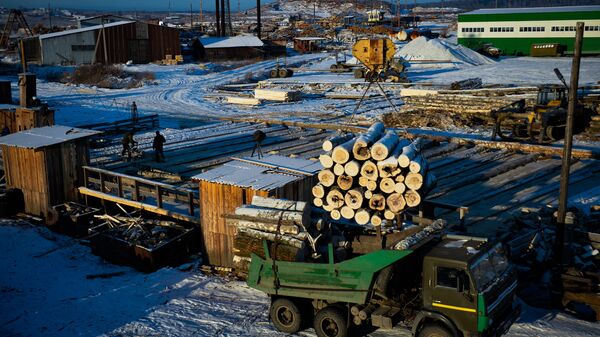 中国仍是俄罗斯木材的最大进口国 - 俄罗斯卫星通讯社