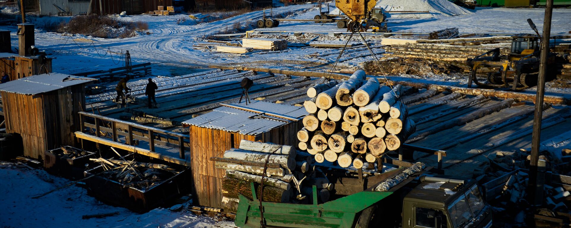 中国仍是俄罗斯木材的最大进口国 - 俄罗斯卫星通讯社, 1920, 05.10.2023