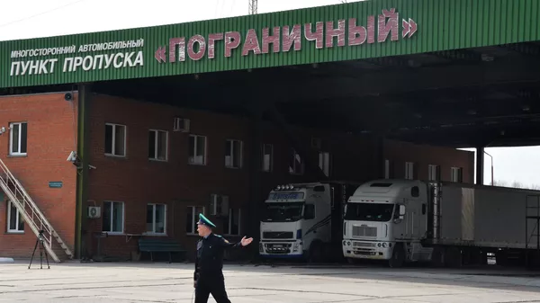 俄中边境波克罗夫卡-饶河口岸恢复货运工作 - 俄罗斯卫星通讯社