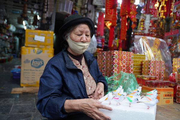 河内市民采买农历新年的节日装饰品。 - 俄罗斯卫星通讯社