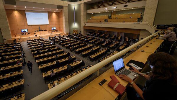 Заседание совета ООН по правам человека в Женеве - 俄羅斯衛星通訊社