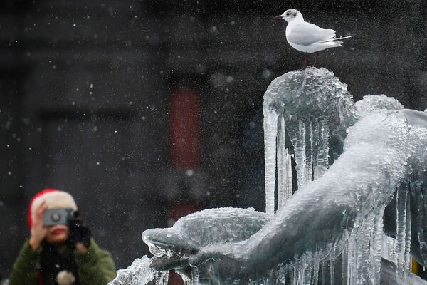 倫敦特拉法加廣場上被冰封凍的鳥兒雕塑。 - 俄羅斯衛星通訊社