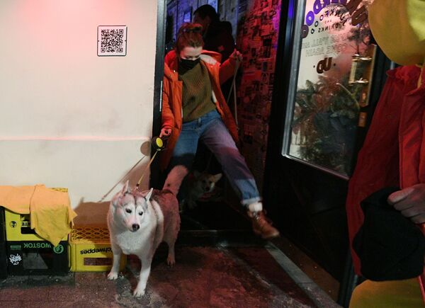 一位女客人和她的狗狗在莫斯科Underdog酒吧门口。 - 俄罗斯卫星通讯社