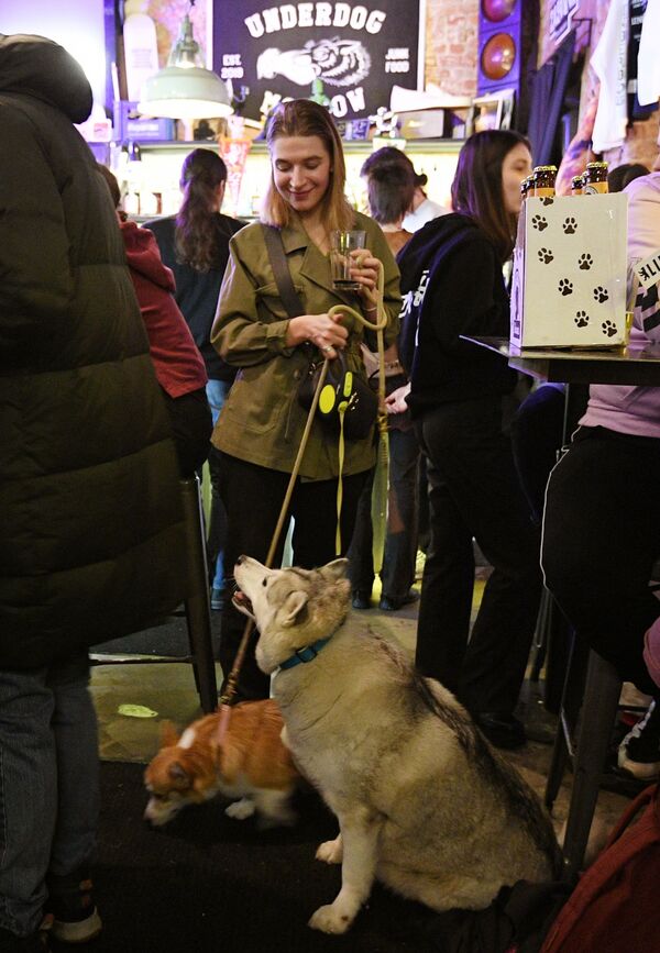 一名女客人带着她的狗狗们在莫斯科Underdog酒吧里。 - 俄罗斯卫星通讯社