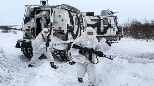 北約秘書長稱聯盟看到俄羅斯在北極的存在增加 - 俄羅斯衛星通訊社