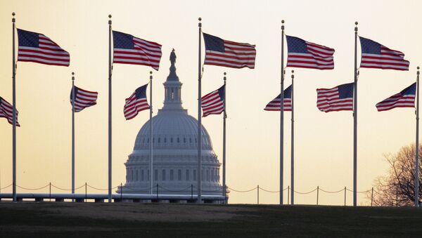 Американские флаги на фоне Капитолия в Вашингтоне, США - 俄羅斯衛星通訊社