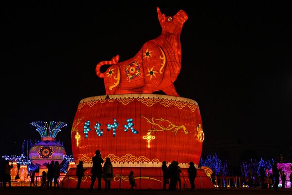 中國武漢公園內的大公牛紅燈籠。 - 俄羅斯衛星通訊社