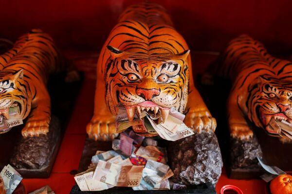 农历新年印度尼西亚雅加达金德院内老虎雕塑身旁的钞票。 - 俄罗斯卫星通讯社