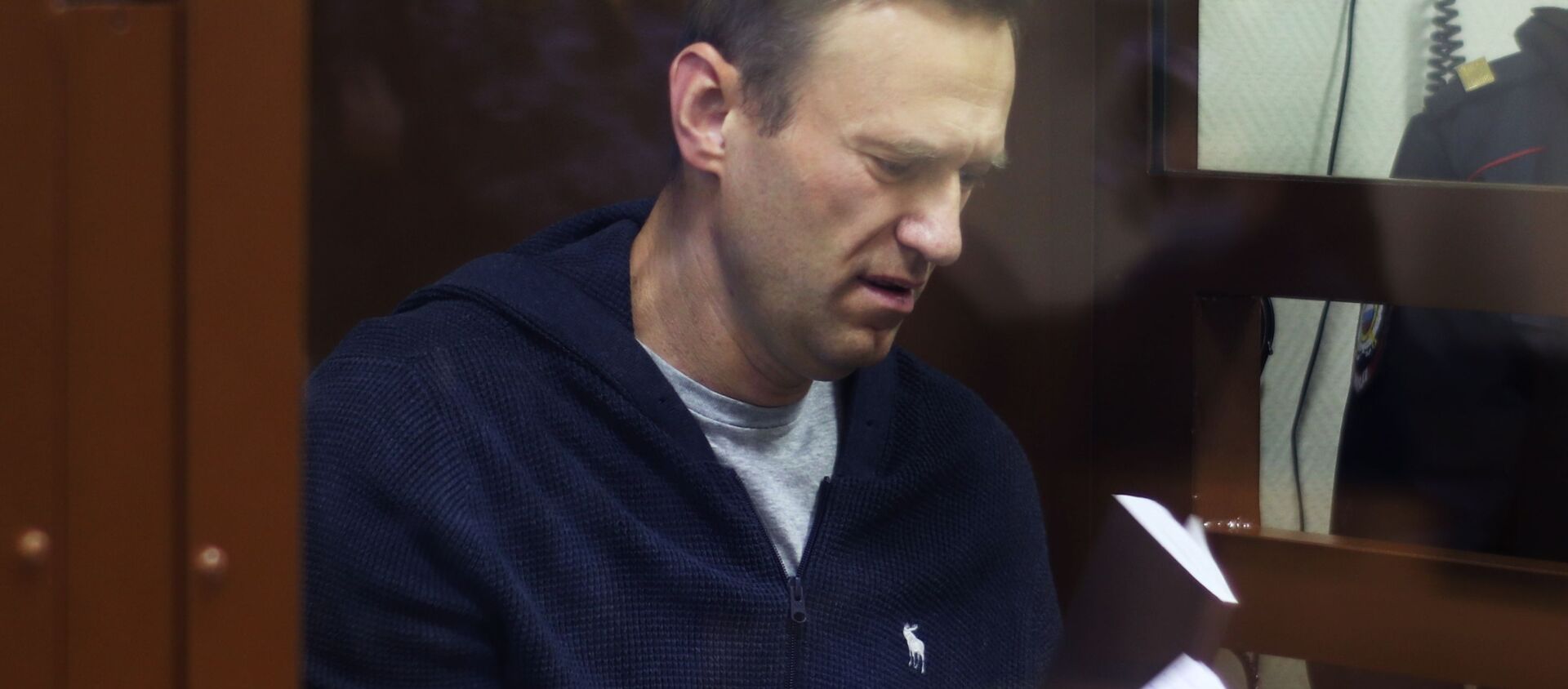 Алексей Навальный в зале Бабушкинского районного суда - 俄罗斯卫星通讯社, 1920, 15.02.2021