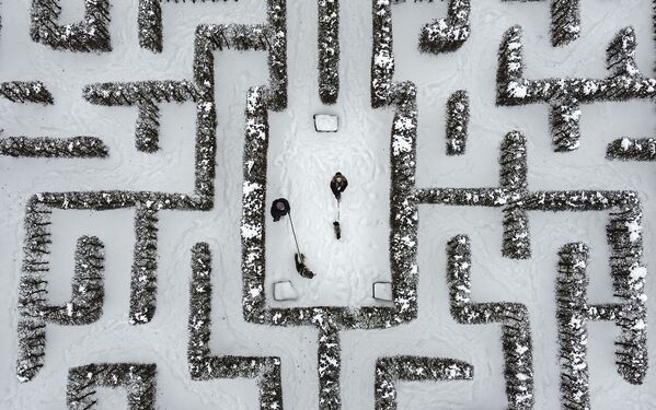 德国盖尔森基兴市居民在迷宫遛狗散步。 - 俄罗斯卫星通讯社