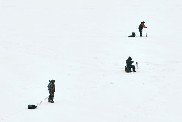 聖彼得堡市涅瓦河上的冰釣愛好者。 - 俄羅斯衛星通訊社