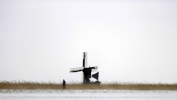 雪後的荷蘭黑洛市風車。 - 俄羅斯衛星通訊社