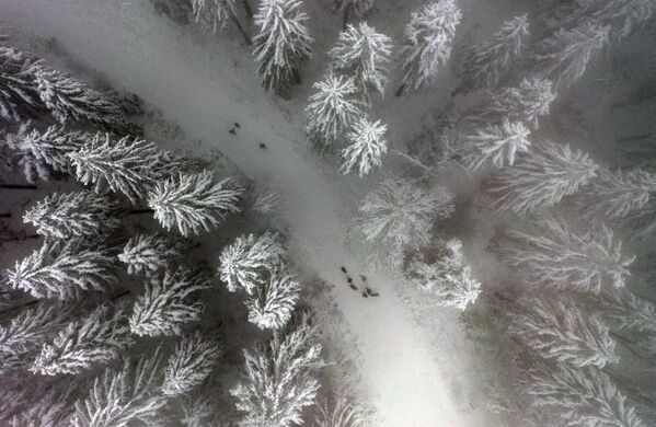 德國邁納茨哈根市諾德海勒山脈雪後景色。 - 俄羅斯衛星通訊社