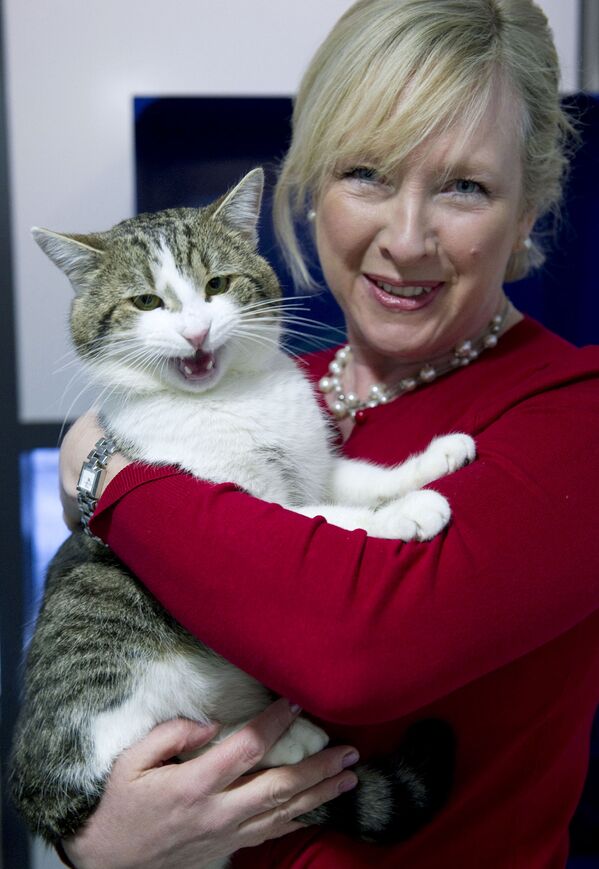 英國倫敦寵物流浪所經理克萊爾·霍頓將裝在籠子里的拉里貓放上車準備運往首相官邸。 - 俄羅斯衛星通訊社