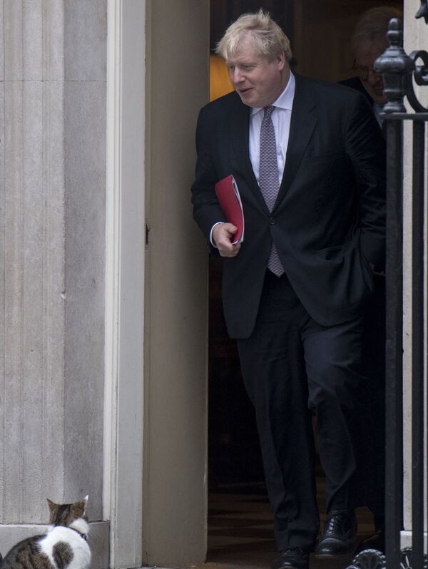 英国前外交大臣、现任英国首相鲍里斯·约翰逊和拉里猫在伦敦唐宁街10号首相官邸入口处附近。 - 俄罗斯卫星通讯社