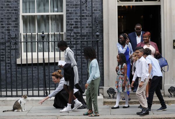 英国伦敦唐宁街10号，学生们与英国首相鲍里斯·约翰逊会面后试图抚摸拉里猫。 - 俄罗斯卫星通讯社